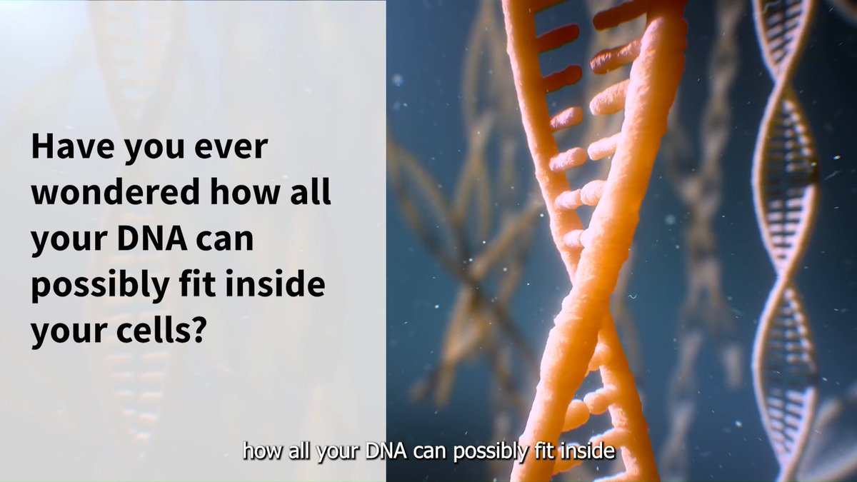 “Just the idea that 2-meter-long DNA can be wrapped up in a tiny cell is just mind-boggling” – Dr. Peter Park on how NIH-supported research led to key discoveries about DNA organization’s impact on health & disease. Watch the full video: