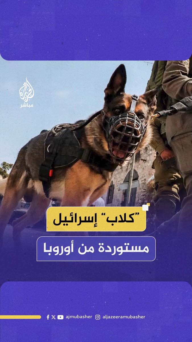 تحقيق للغارديان: دول أوروبية صدرت لإسرائيل كلابا عسكرية شاركت في هجمات ضد مدنيين فلسطينيين بينهم أطفال #الجزيرة_مباشر