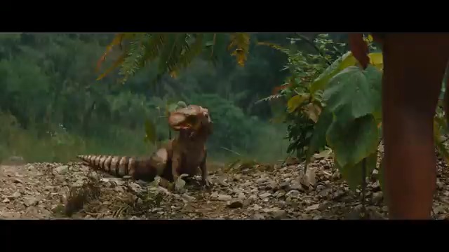 She is our emotional support dinosaur.