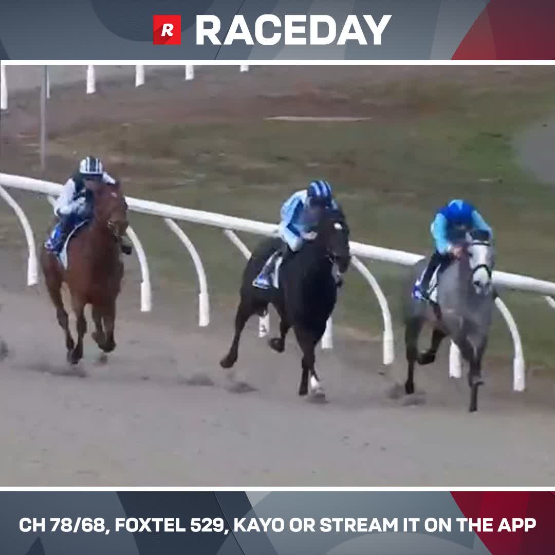 🇯🇵 日本から移籍したリアルスティール牝馬が現地デビュー戦で初勝利! 🇦🇺 バララット競馬場のAW 1400m戦。4歳牝馬、カワがオーストラリア初戦で初勝利。日本では4戦0勝でしたが、新天地でいきなり白星をゲット。 Rising Sun Syndicate🇯🇵 のマネージメント馬です。 #競馬 #海外競馬