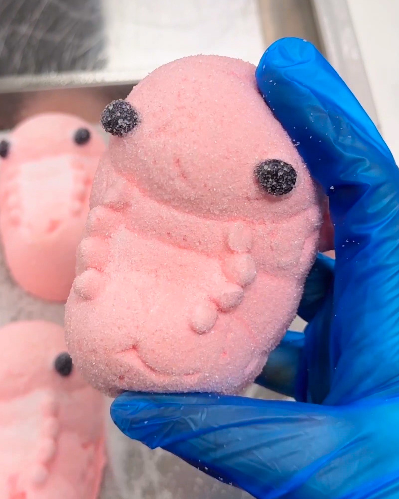 The Cryptobiote from Death Stranding in marshmallow form 🥰 Available for a limited time from The Marshmallow Co.