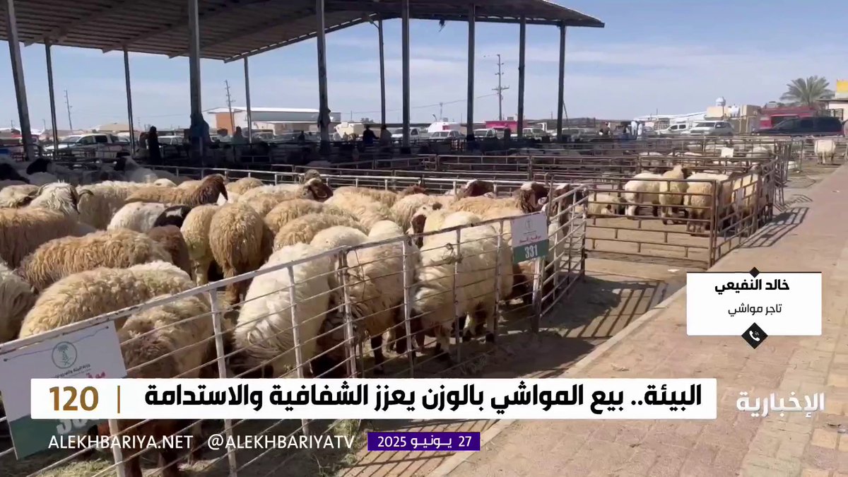 عضو مجلس الشورى فضل البوعينين: الثقافة من أهم أدوات القوة الناعمة، والمملكة لديها قدرات هائلة لتحسين صورتها في الخارج #برنامج_120 | #الإخبارية