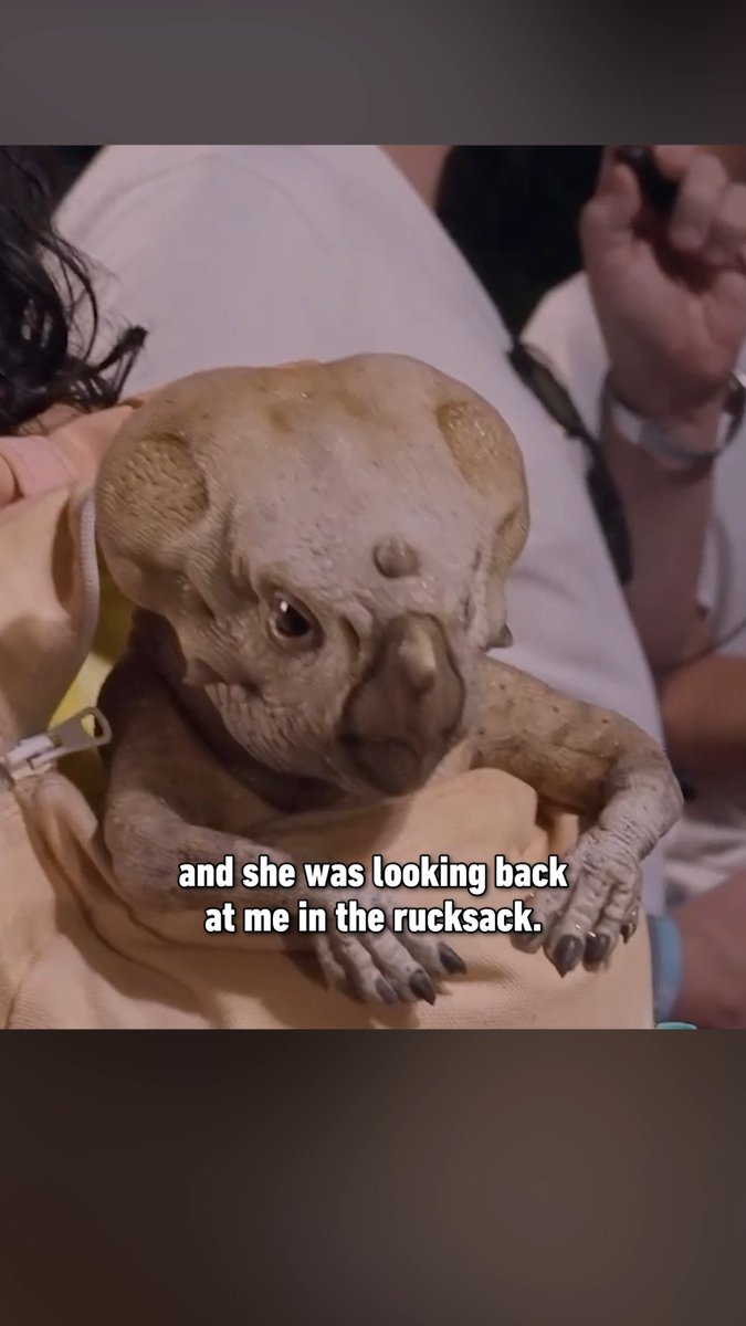 We might need to protect Dolores the Aquilops at all costs in #JurassicWorldRebirth