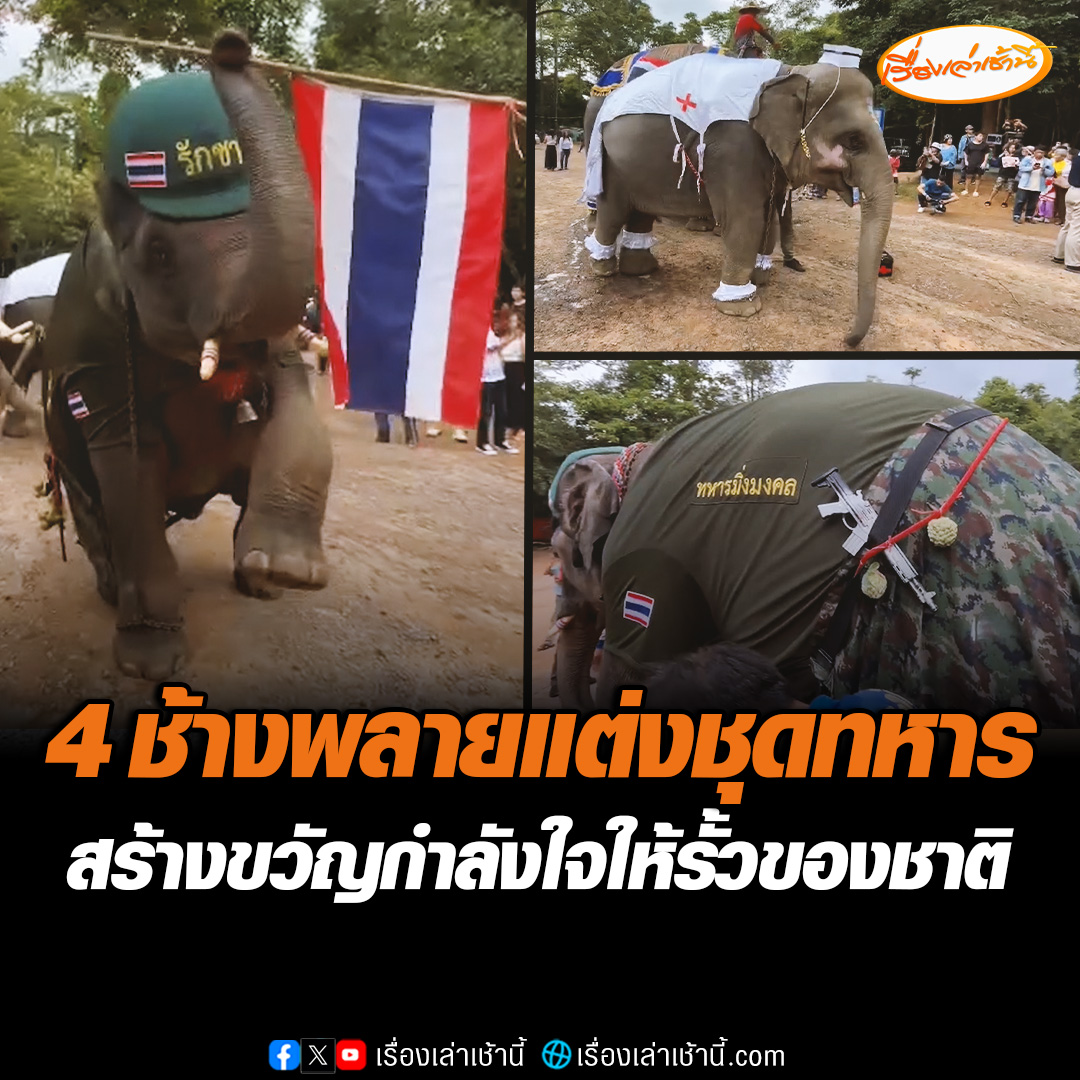 ควาญพา 4 ช้างพลายแต่งชุดทหาร เยือนปราสาทตาเมือนธม เพื่อมาให้กำลังใจรั้วของชาติและนำอาหาร-น้ำดื่ม ที่เอฟซีของช้างรวบรวมกันมามอบให้กับเหล่าทหาร พร้อมสร้างสีสันให้กับนักท่องเที่ยวและประชาชนในพื้นที่ แห่ขอถ่ายรูปคึกคัก #เรื่องเล่าเช้านี้ #ข่าวช่อง3 #ข่าวภูมิภาค #สุรินทร์
