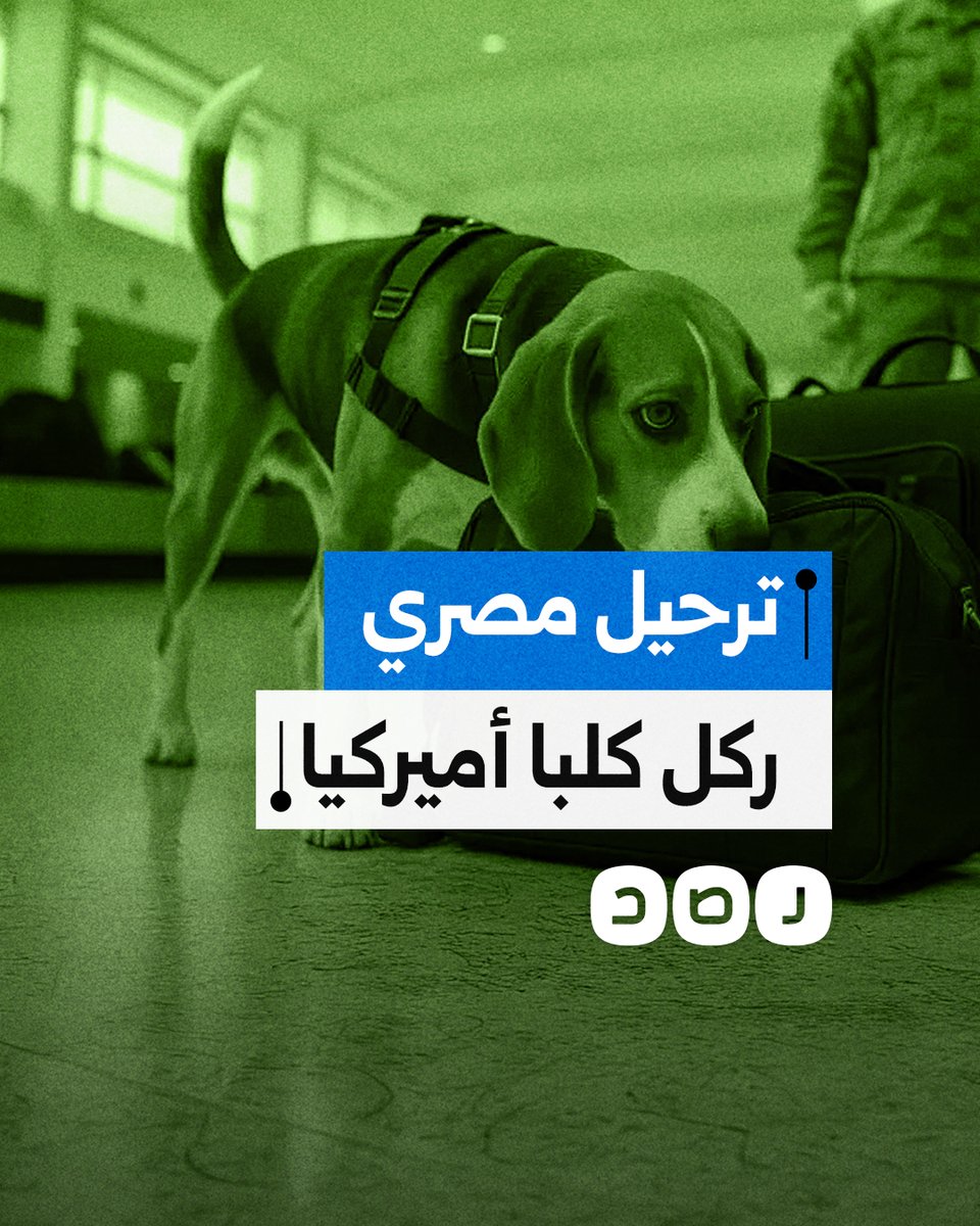 ترحيل مسن مصري من أميركا بعد اعتداءه على كلب الجمارك.. ما التفاصيل؟