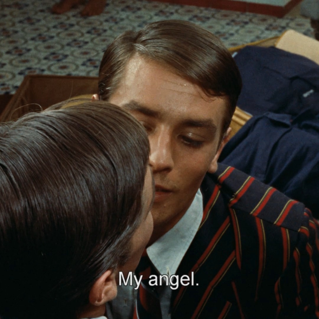 Evenign viewing recommendation? On Criterion Channel, watch PURPLE NOON (1960)—René Clément's ripe, colorful adaptation of Patricia Highsmith’s vicious novel. Alain Delon was at his most impossibly beautiful when the film was released and made him an instant star. Now playing in our Ripley Films collection!