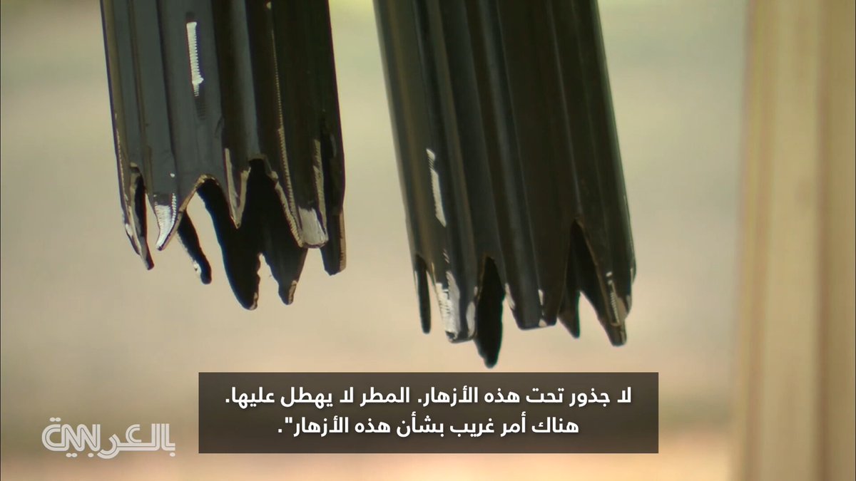 أعظم فنان نفايات في العالم أعطى للقمامة قيمتها وحوّلها إلى مخلوقات مدهشة.. هذه قصته