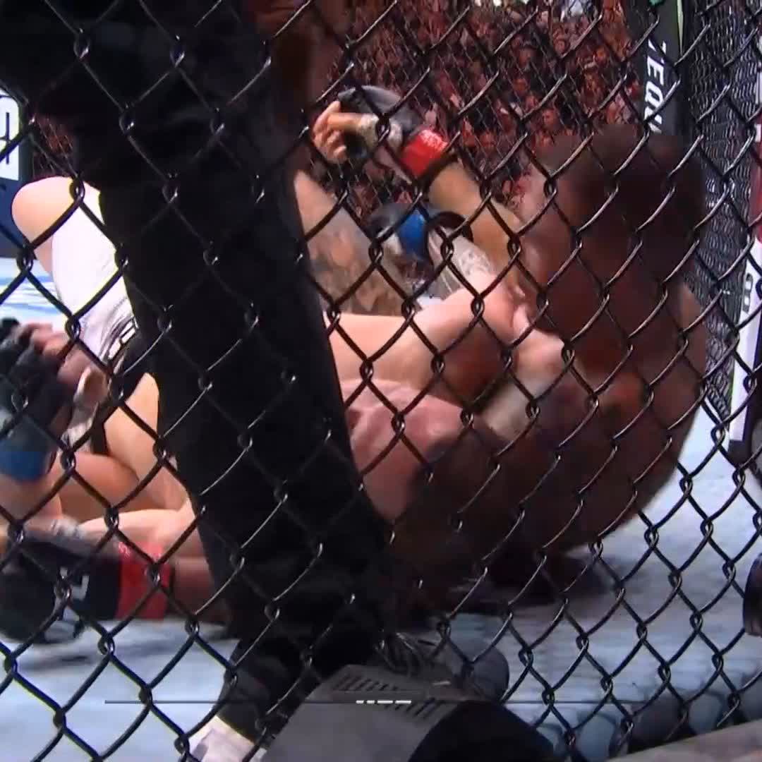 Alexandre Pantoja Passidomo. #UFC317 Ao vivo e exclusivo no @UFCFightPassBR | Assine agora e assista 🔗