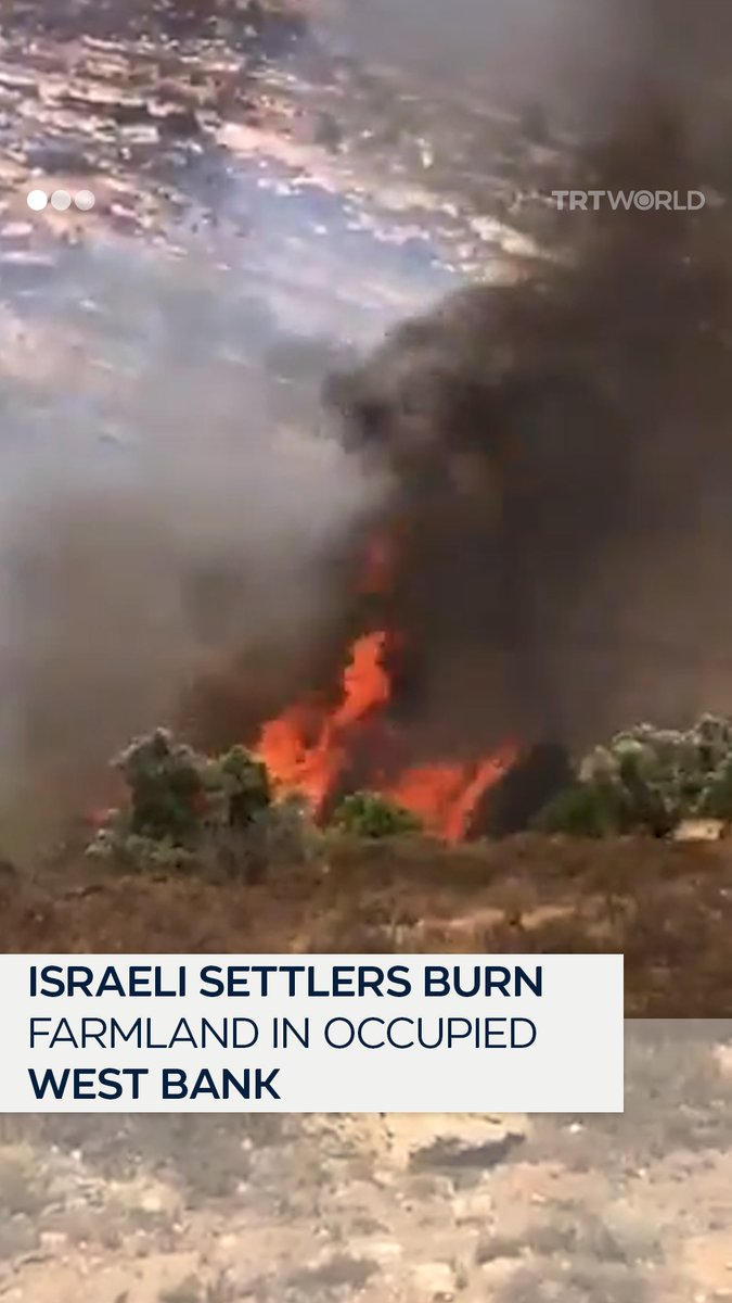 Illegal Israeli settlers set fire to farmland in the town of Yabrud, near Ramallah, on June 28, amid a surge in settler violence across the occupied West Bank. They also blocked residents from fighting the blaze, causing extensive damage to olive groves and crops
