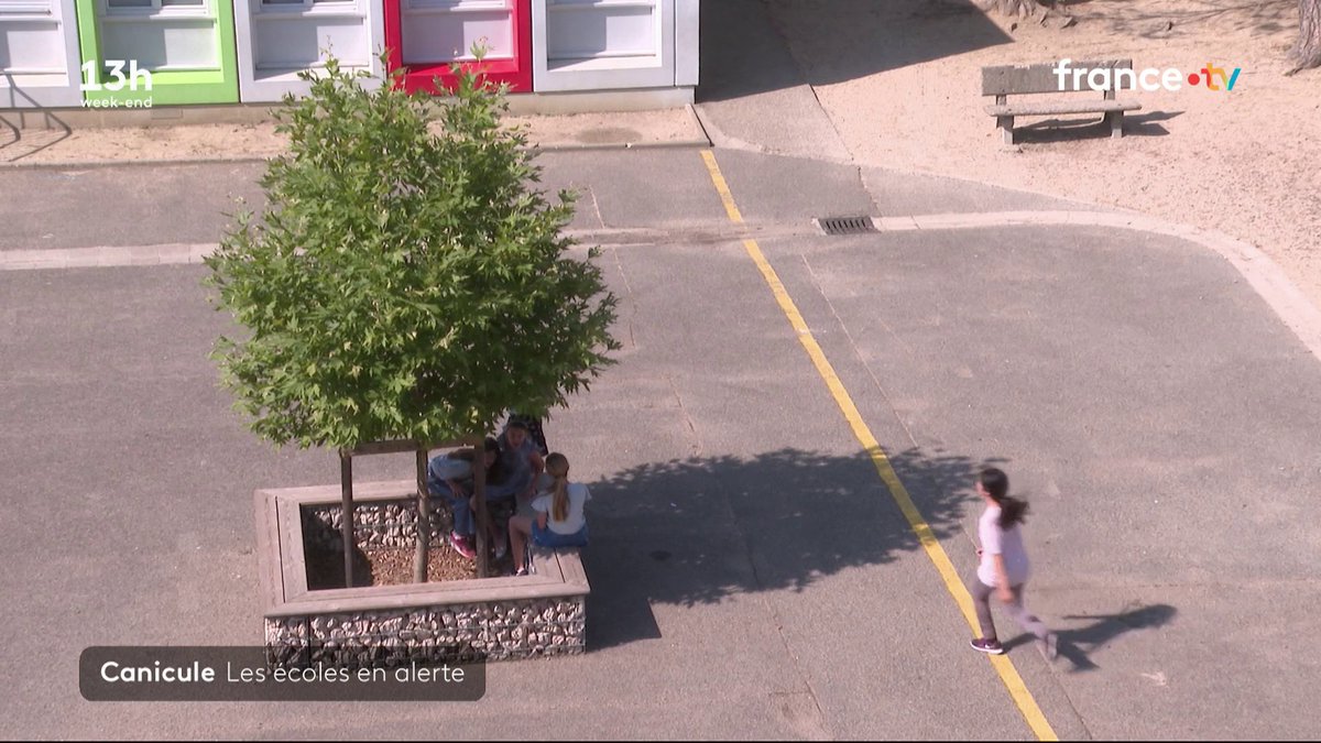 🏫 Canicule : les écoles en alerte. "Impossible de travailler quand il fait 40 degrés", explique Laurent Zameczkowski, membre de la fédération des parents d'élèves de l'enseignement public. Certaines mairies fermeront les écoles mardi et mercredi. #JT13h