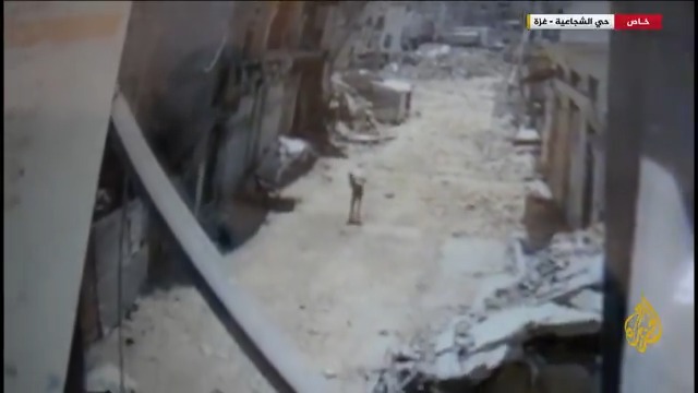 #الجزيرة تحصل على مشاهد وثقت قصف مسيّرة للاحتلال فلسطينيا يحمل كيسا من الطحين على ظهره بحي #الشجاعية #حرب_غزة #الأخبار