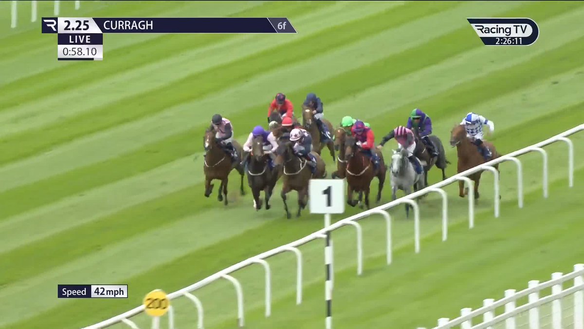 "Bobbbbbbing heads." Jerry was well within his right to get giddy as 𝐕𝐞𝐬𝐩𝐞𝐫𝐭𝐢𝐥𝐢𝐨 (2-1f) narrowly denies My Mate Alfie in the Listed Jebel Ali Racecourse Dash The Curragh Racecourse 💨 Dylan Browne Mc Mon | williemccreeryracing