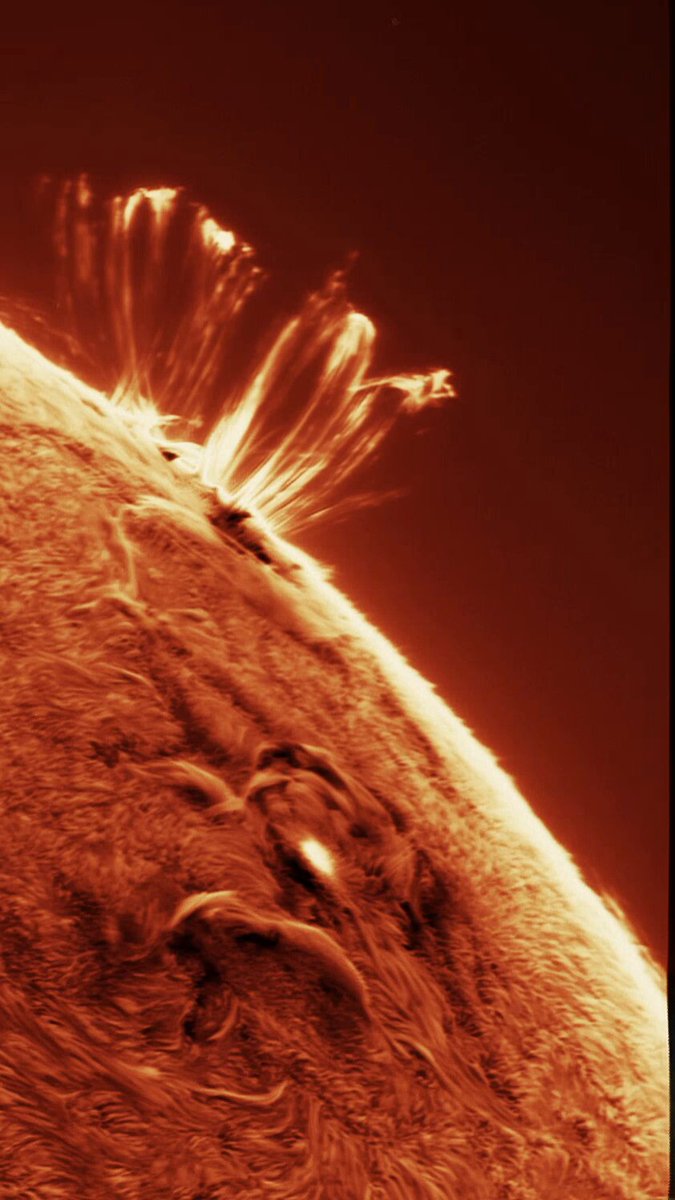 One of my favorite captures since I got into this hobby: the aftermath of an X class flare on the sun. These loops trace the invisible magnetic field lines on the sun, while moon-sized gobs of plasma rain back down onto the surface.