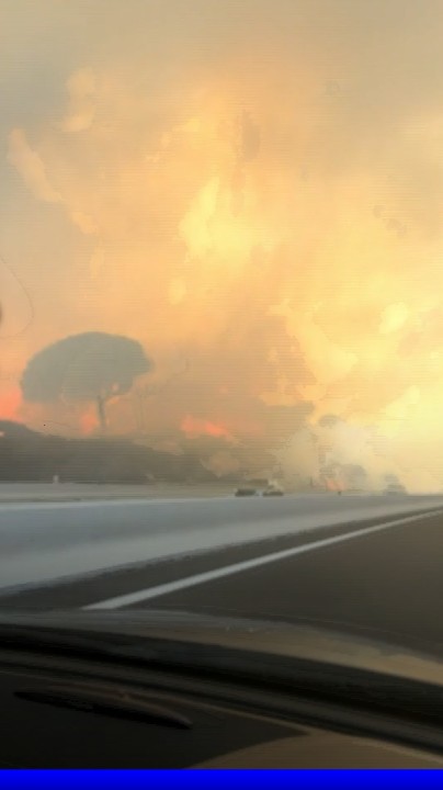 Canicule: la circulation totalement interrompue sur l'A9 et l'A61 en raison d'un incendie