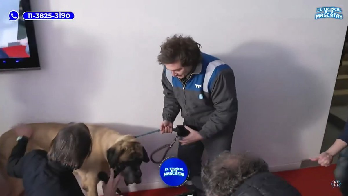 "Conan": Porque Javier Milei llegó a Neura junto a su perro