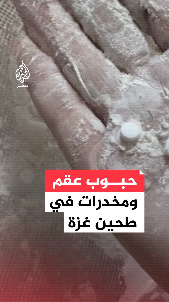 حبوب تسبب الإدمان والعقم.. المكتب الإعلامي الحكومي بقطاع غزة يوثق شهادات لعثور أهالي القطاع على مخدرات في الطحين