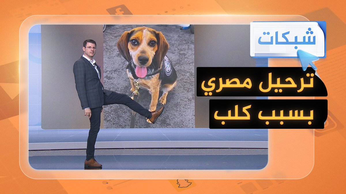 ترحيل مصري من أمريكا اعتدى على كلب تفتيش في المطار #شبكات