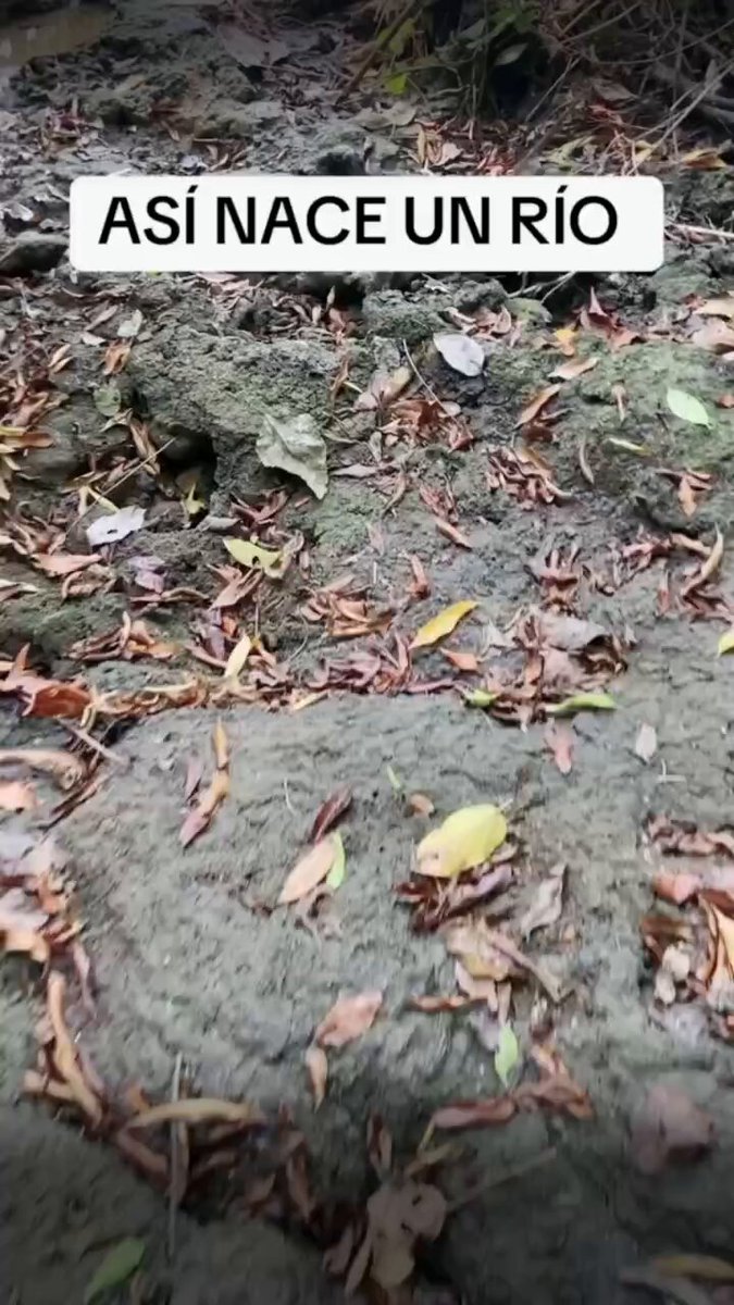 Para los que nunca han visto el nacimiento de un río. Les dejo este.