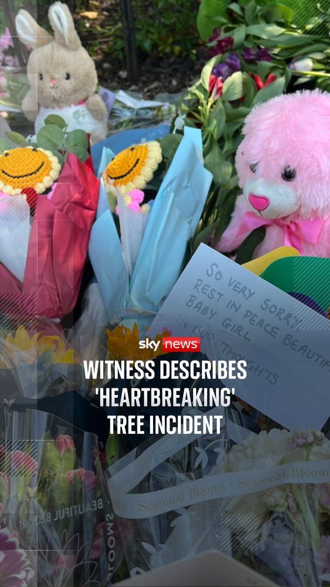 One girl has died and another remains in a "very serious" condition after a tree partially collapsed at a park in Essex.