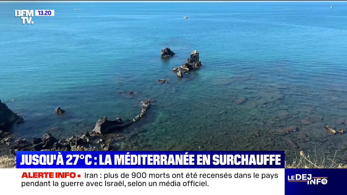 La biodiversité marine directement menacée en Méditerranée à cause de la canicule