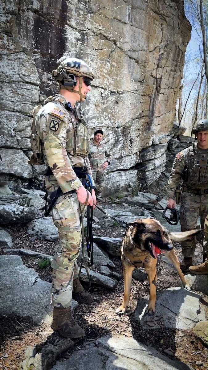 All hands (and paws) on deck. Military Working Dogs are an important part of many Guard units, helping fight terrorism, drug smuggling, and threats. Learn more about K-9 units: