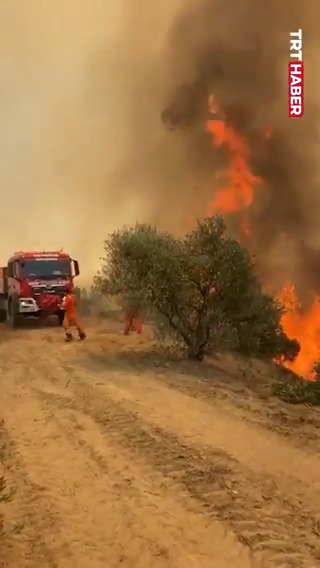 Hatay’daki orman yangınına karadan ve havadan müdahale ediliyor.