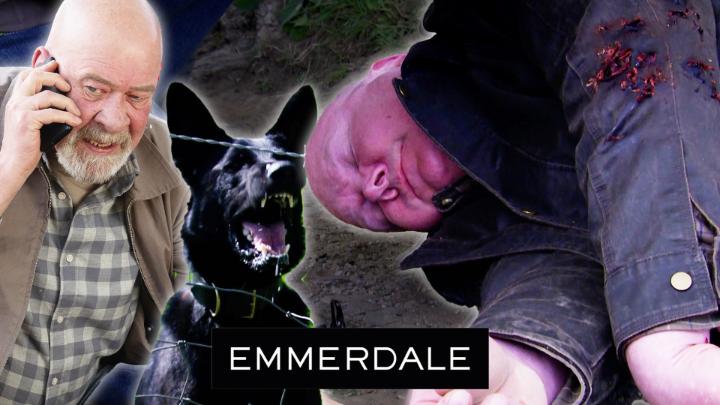 We can confirm that no dogs - or Dominic Brunts - were harmed in the making of tonight’s episode. Paddy, on the other hand... that’s a different story. #Emmerdale