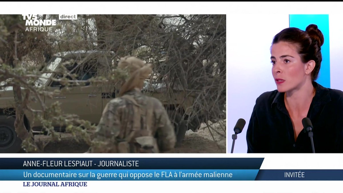 Dans le nord du Mali, ce conflit oppose le Front de Libération de l’Azawad au pouvoir malien et ses supplétifs russes, les "Wagner". La journaliste Anne-Fleur Lespiaut a pu s'y rendre et tourner "Mali : la résistance contre Wagner". Elle est l'invitée du Journal Afrique.