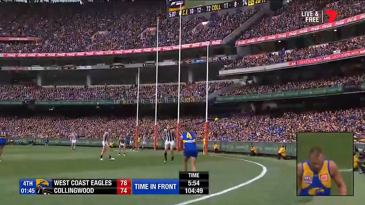 Dom Sheed, iconic 🏆
