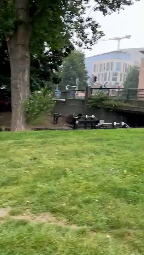 🚨 Dublin - Migrants have started to set up camp on the canal once again. Is this the beginning of another tent city?