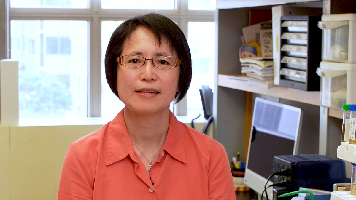 For over 20 years, Nancy Du, associate professor of pathology and laboratory medicine and the Rasweiler Family Research Scholar in Cancer Research at Weill Cornell Medicine, has researched how metastatic cancer arises. With a $500,000 grant over three years from the Congressionally Directed Medical Research Programs at the U.S. Department of Defense (DoD), she was poised to study how to prevent cancer from spreading to the bones of patients with estrogen receptor-positive breast cancer. But in April, a stop-work order brought her research to a halt. More at