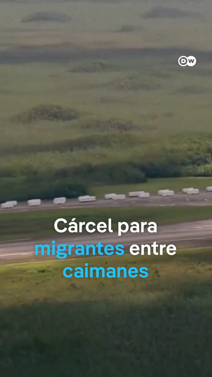 ¿Qué es el "Alcatraz Alligator", el centro de detención para migrantes rodeado de caimanes que inaugura Trump en Florida? La Casa Blanca cree que la peligrosa fauna que rodea la prisión, situada en una zona de alto valor ecológico, disuadirá a los internos de escapar. / ajr
