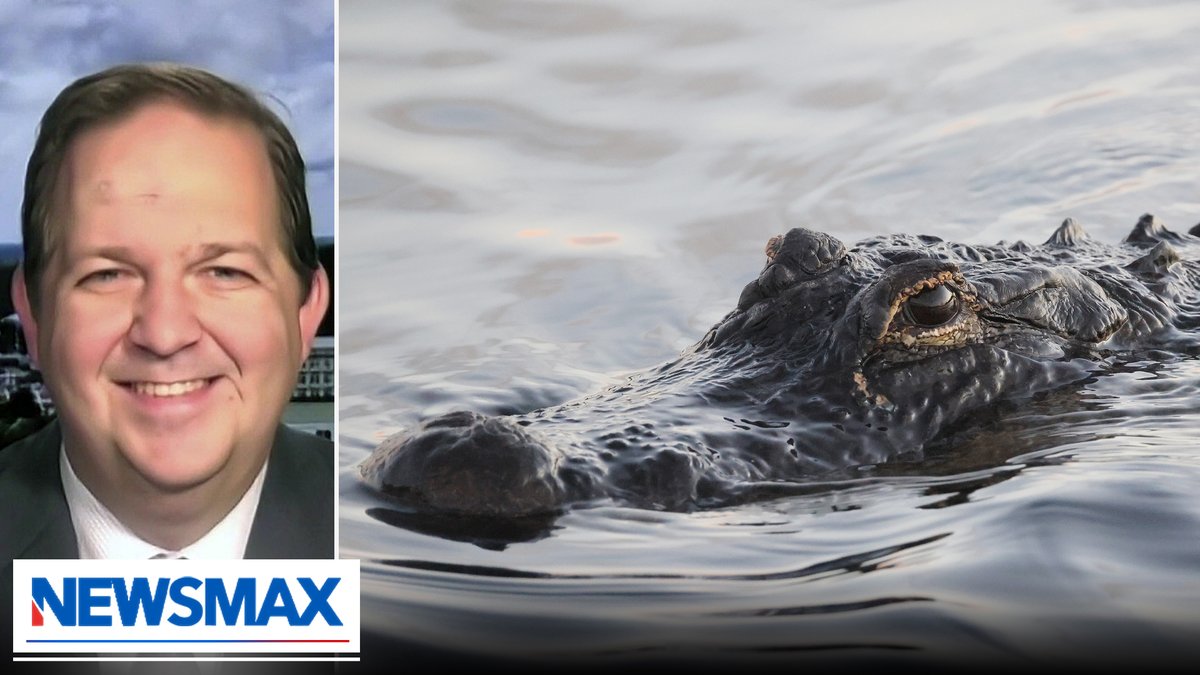 "We want to put the worst of the worst here. There's one way in by a road, one way out on a plane to another country." — Evan Power, Florida GOP chairman, on "Alligator Alcatraz" Evan Power Emma Rechenberg Shaun Kraisman