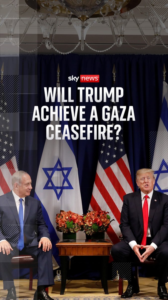 US President Donald Trump has suggested a ceasefire in Gaza could be reached within a week. But what would that look like? Security and defence analyst Professor Michael Clarke explains.