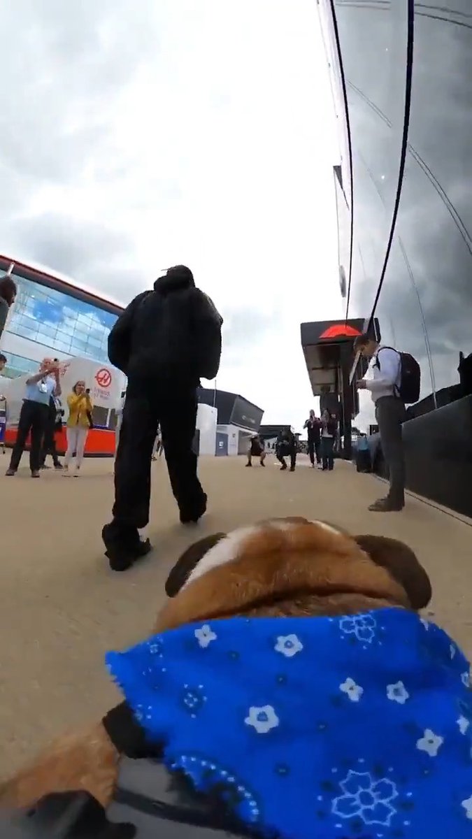 When Roscoe gave us a behind-the-scenes tour of the Silverstone paddock 🐶😅 (via roscoelovescoco/IG)