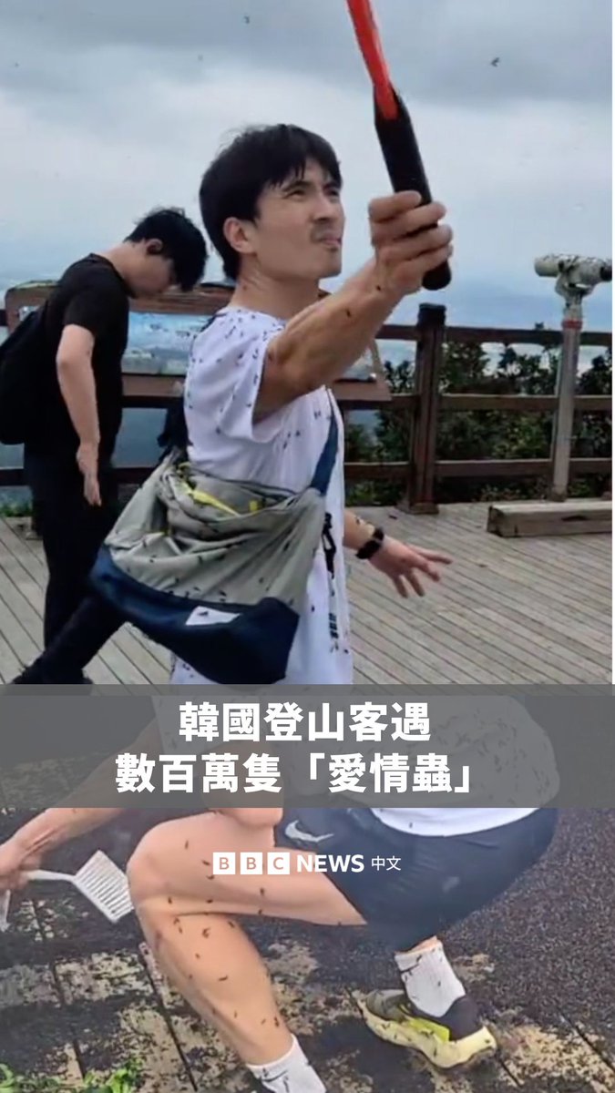 在韩国桂阳山,登山客在山顶遇到了一大群“爱情虫”,这些昆虫不仅停在他们身上,还覆盖了地板,形成一层“厚厚的地毯”。根据当地媒体报导,“爱情虫”因其成双飞行的习性而得名,近几年来在韩国的部分地区大量出现。