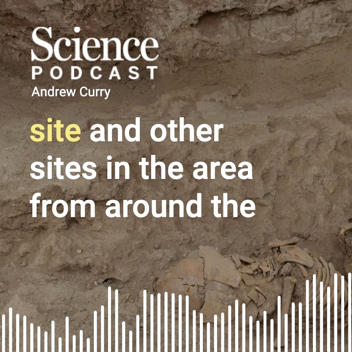 In a new pair of Science studies, researchers used ancient DNA and isotopes from 8000 to 9000 years ago to show how maternal lines were important in Çatalhöyük culture. Explore the research in our latest #SciencePodcast🎙️: