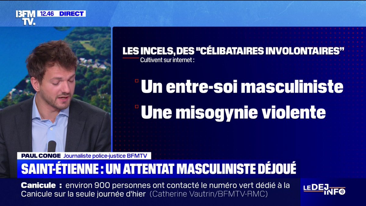 Saint-Étienne: ce que l'on sait du projet d'attentat, déjoué, d'un masculiniste appartenant à la mouvance "incel"