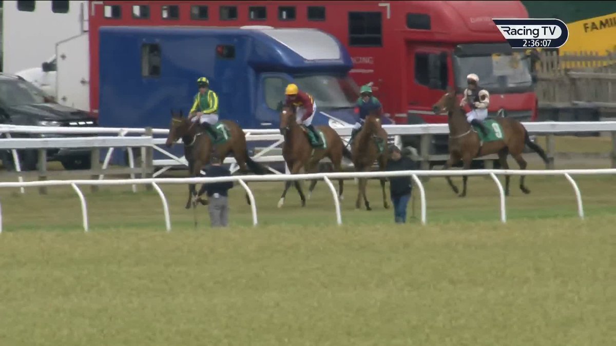 Divine Knight (Night Of Thunder) cost €270,000 as a breeze-up two-year-old. On this belated racecourse debut, the four-year-old strikes at the first time of asking for Sean Woods, Teme Valley and OpulenceThoroughbreds at Thirsk Racecourse