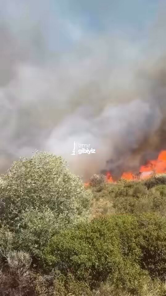 SON DAKİKA: Çeşme Ildır’da yangın rüzgarın etkisiyle büyüyor, durum kötüye gidiyor.