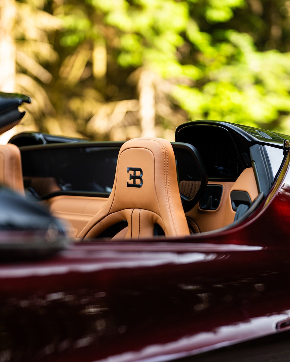 Before delivery, each W16 MISTRAL must master an intricate journey across Alsace – each car refined not by code, but by intuition. BUGATTI craftsmanship is proven on the road. #BUGATTI #W16MISTRAL –