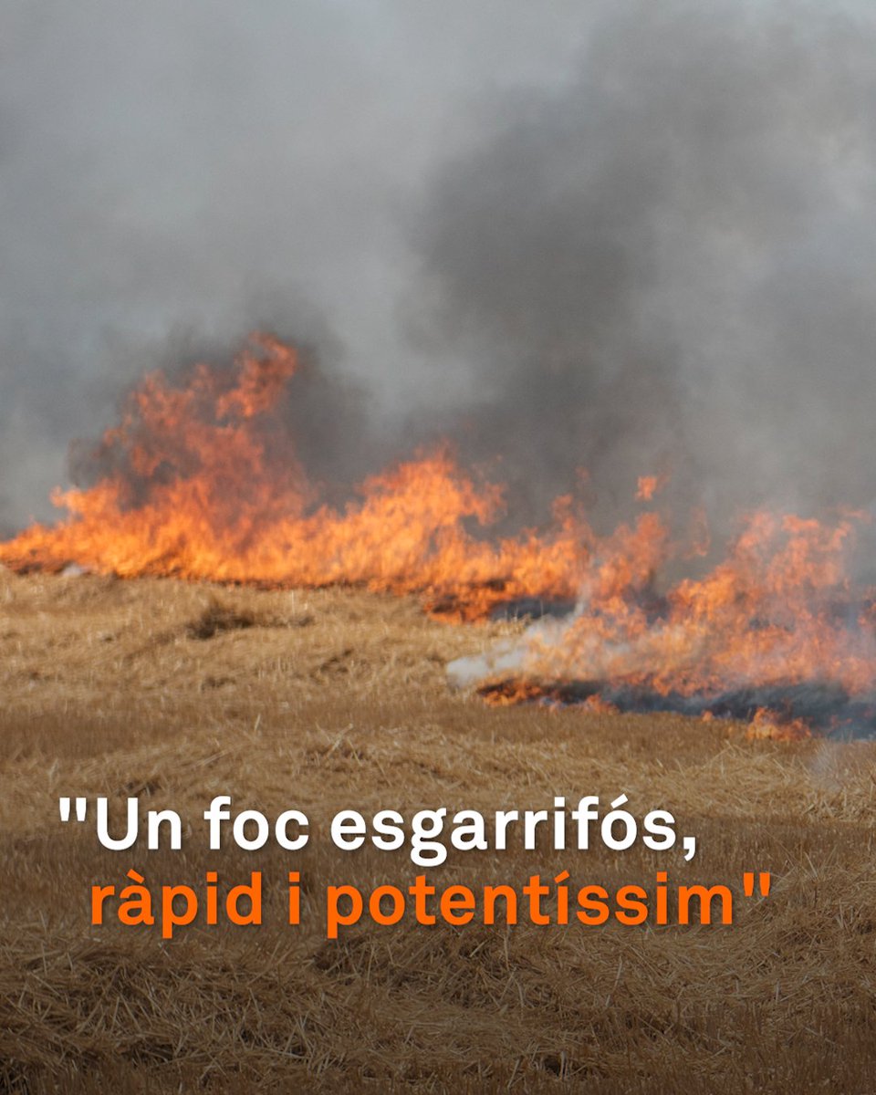 “Un foc esgarrifós, ràpid i potentíssim.” Així descriuen els veïns l’incendi que ha sacsejat la Segarra, la Noguera i l'Urgell amb més de 5.500 hectàrees cremades i dos morts. Un foc extrem de sisena generació que es va propagar a fins a 30 km per hora