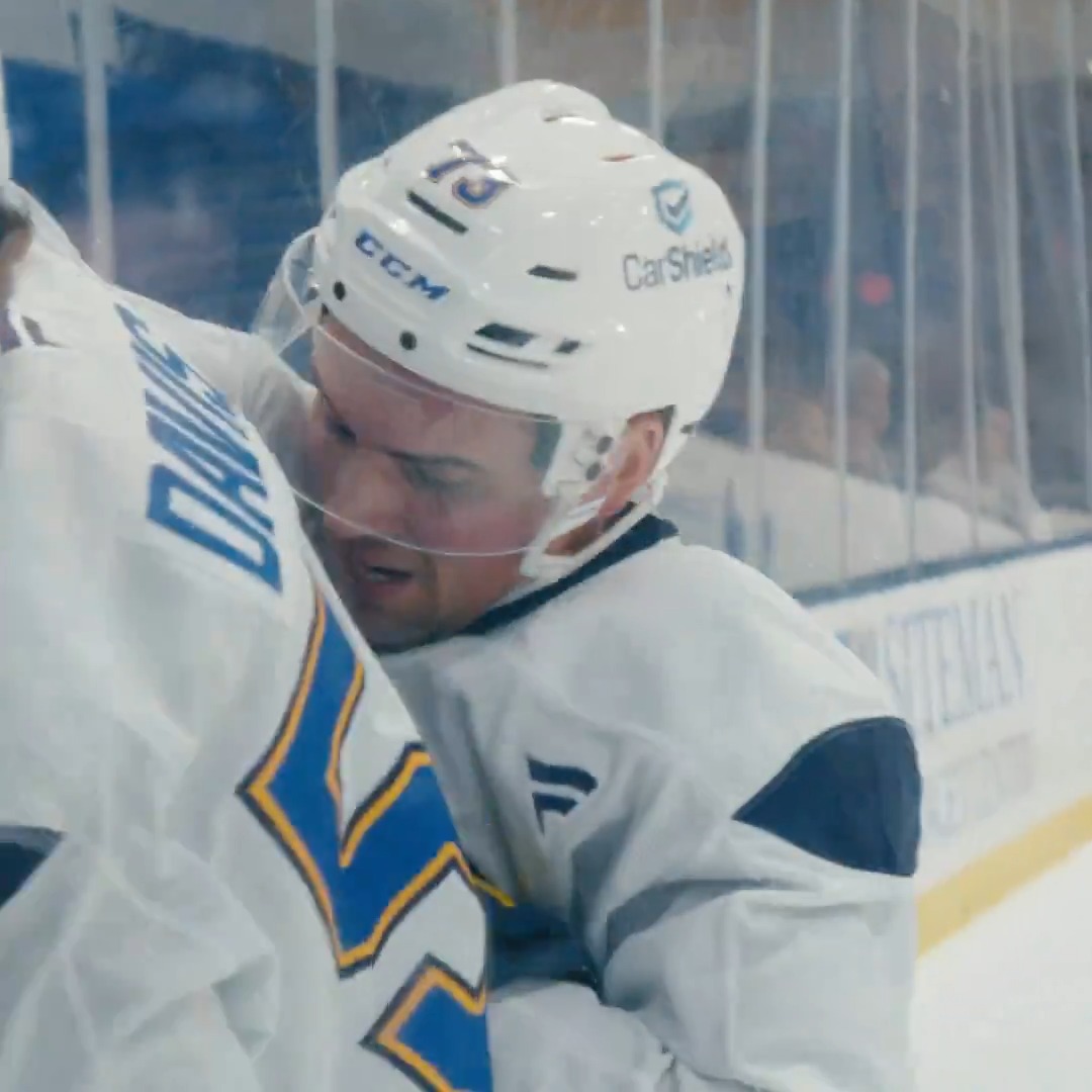 Nobody said getting to the front of the net was easy. #stlblues