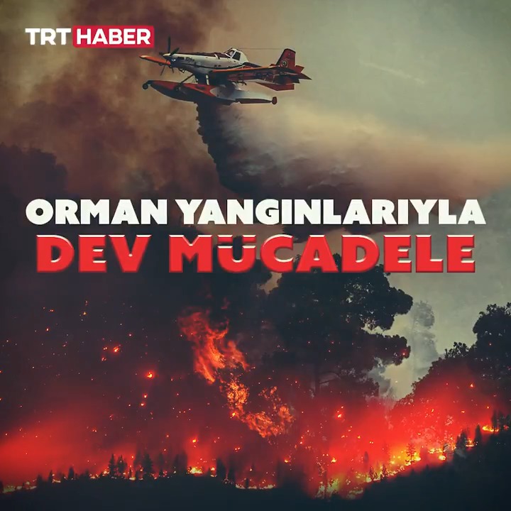 Yeşil Vatan için dev mücadele. Türkiye, orman yangınlarına karşı tüm kara ve hava gücüyle sahada.