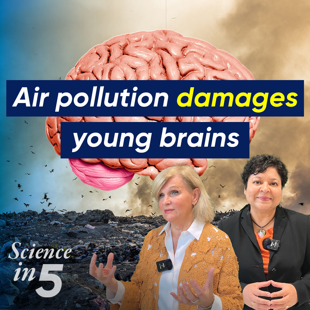 Did you know that the air you breathe can harm your brain, and increase your risk for dementia, anxiety and depression? Nine out of 10 people around the world breathe air that does not meet WHO’s recommended air quality standards. Dr Maria Neira explains in Science in 5 .