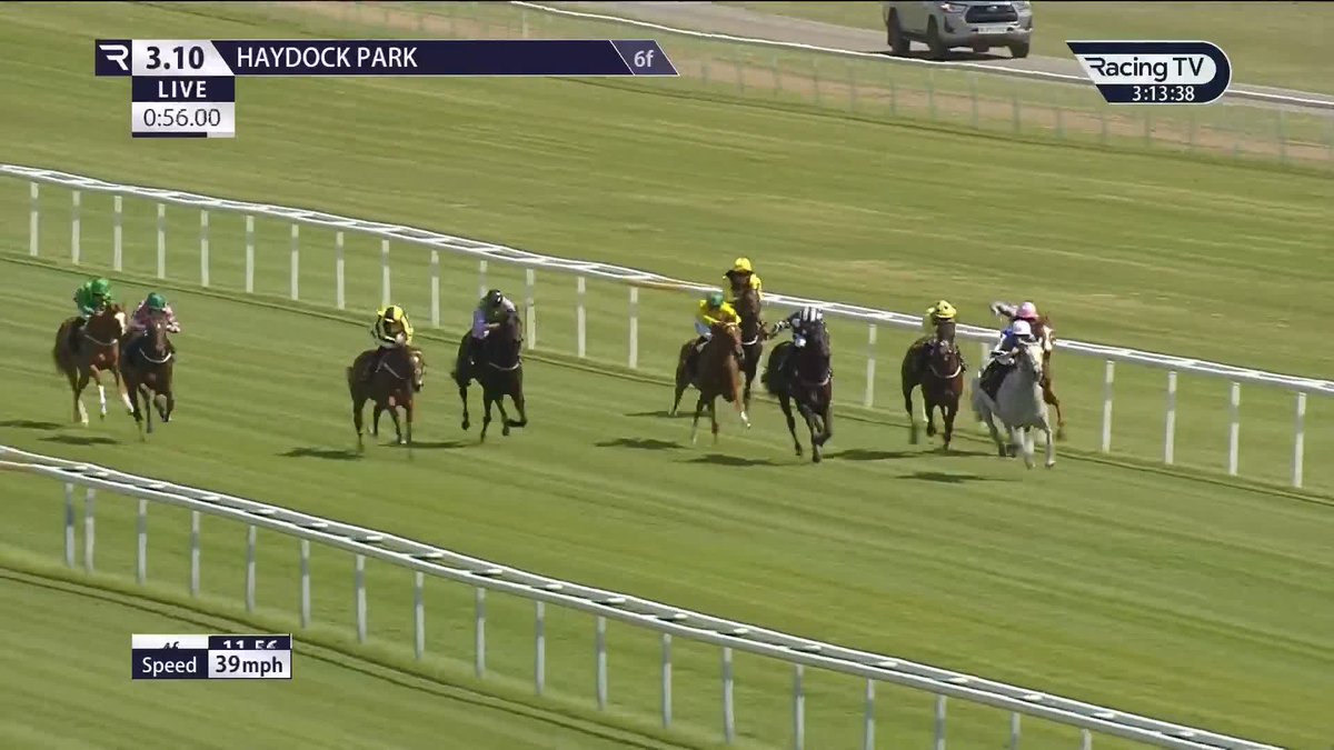 Blimey .... 👀 180,000euro breezer 𝗔𝗺𝗲𝗿𝗶𝗰𝗮 𝗤𝘂𝗲𝗲𝗻 (Havana Grey) dazzles on debut in the British EBF fillies' maiden Haydock Park Races 🇺🇸 Richard Hughes | Billy Loughnane