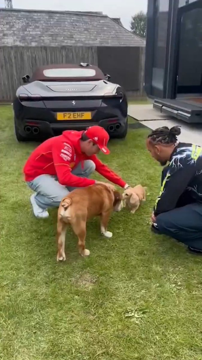 When Leo and Roscoe met for the first time... Now teammates in red 🔴 (via Charles Leclerc)