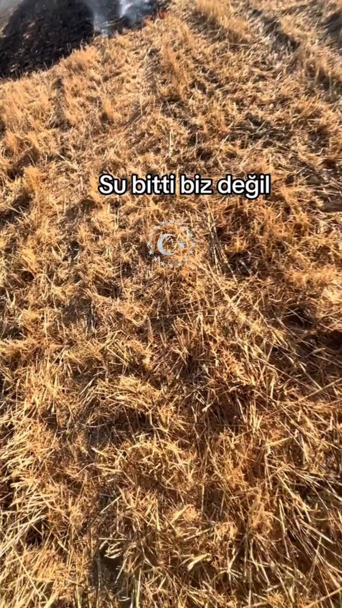 ⚫️ Suyu biten bir yangın söndürme görevlisi, yangına ayaklarıyla müdahale etti;