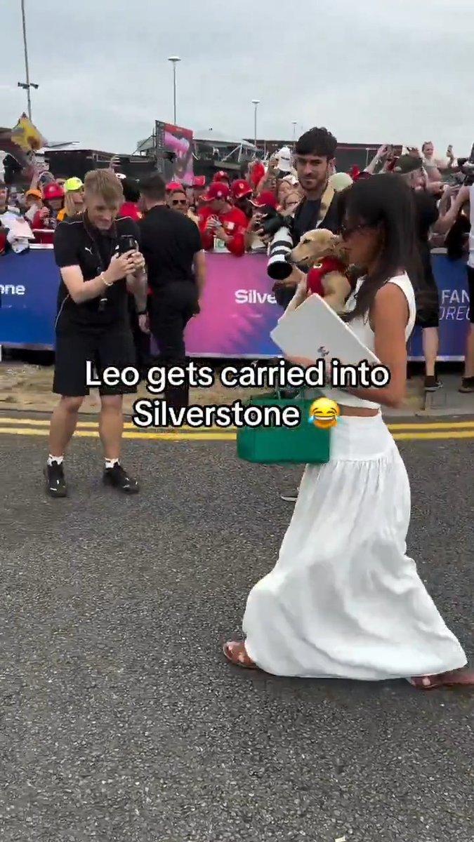 Most dogs walk, Leo gets carried 🤣