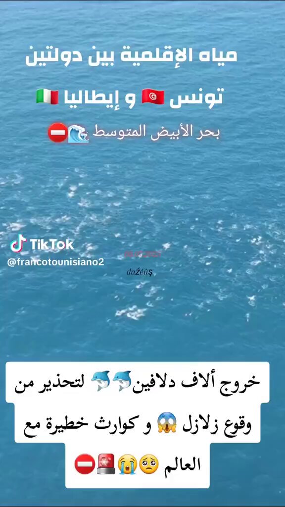 هروب جماعى للدلافين باتجاه الشاطيء فى البحر المتوسط هربا من شيء ما او ربما لشعورها بذبذبات وترددات غير معتادة